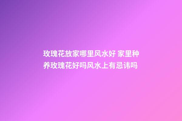 玫瑰花放家哪里风水好 家里种养玫瑰花好吗风水上有忌讳吗
